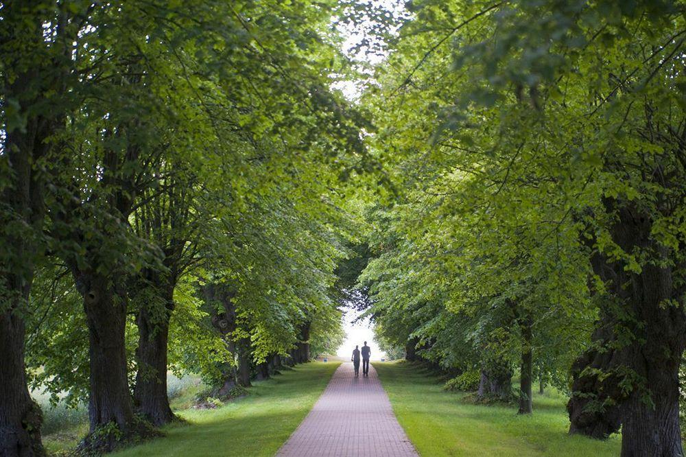 Schlossgut Groß Schwansee Exterior foto The avenue of lime trees