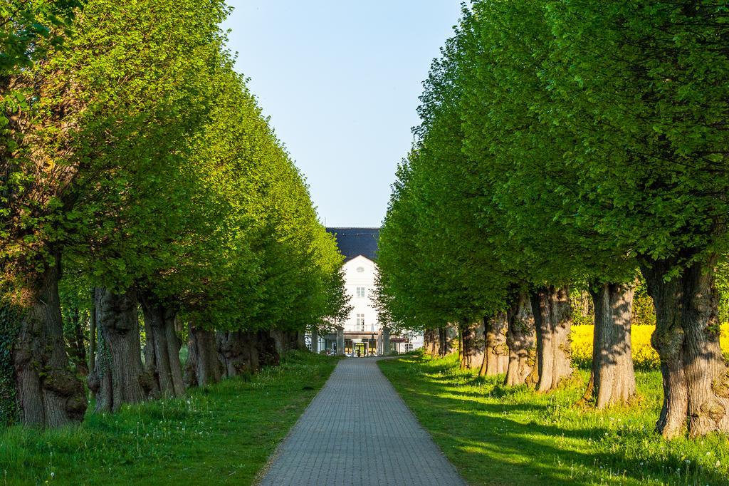 Schlossgut Groß Schwansee Exterior foto The linden tree avenue